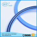 Spring Energized PTFE Seals for Oil and Gas Industry